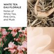 Elizabeth Arden White Tea Eau Florale Eau de Toilette 100ml