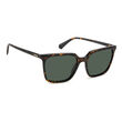 Polaroid PLD 4163/S Havana Rectangular Sunglasses