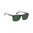 Polaroid PLD 4180/S Havana Rectangular Sunglasses