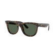 Ray-Ban 0RBR0502S WAYFARER REVERSE