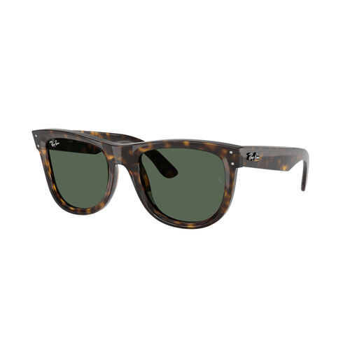 Ray-Ban 0RBR0502S WAYFARER REVERSE