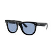 Ray-Ban 0RBR0502S WAYFARER REVERSE