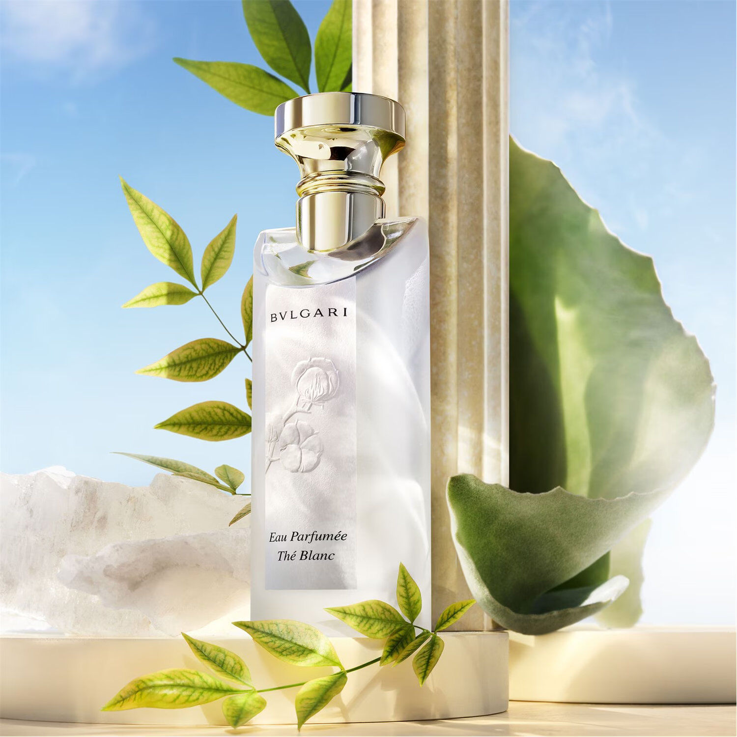 Eau Parfumée Thé Blanc Eau de Toilette 75ml | Airport Duty Free