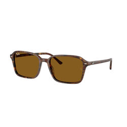Ray-Ban 0RB2231 RAIMOND