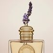 Burberry Goddess Eau de Parfum Intense  50ml