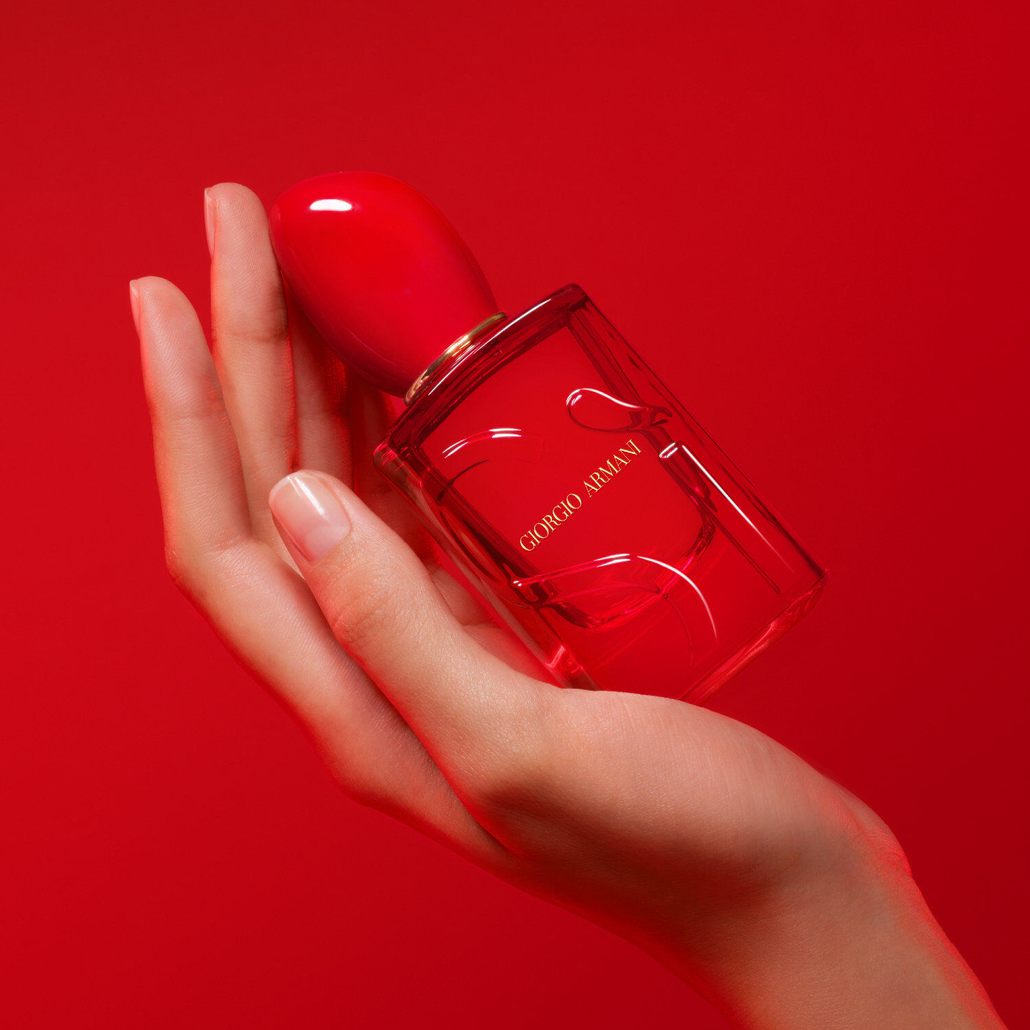 Si Passione Red Musk Eau de Parfum 50ml | Airport Duty Free Shopping