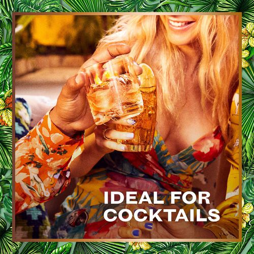 Bacardi Bacardí 8 Year Old Premium Golden Rum 1L