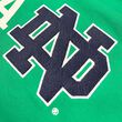 Notre Dame Ireland Navy Sleeve Hoodie S