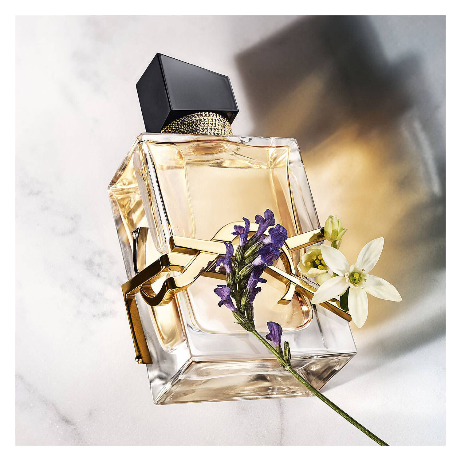 Ysl libre perfume fragrantica sale
