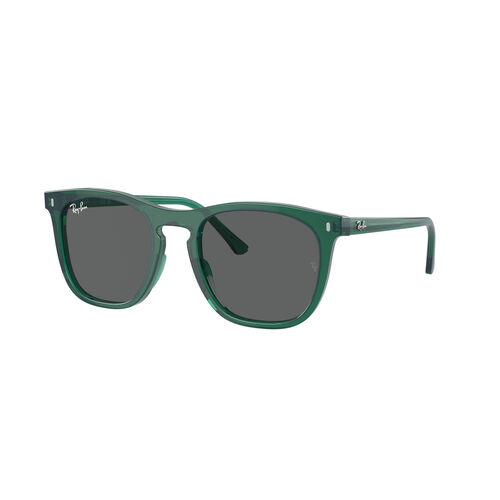 Ray-Ban 0RB2210
