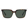 Polaroid PLD 4163/S Havana Rectangular Sunglasses