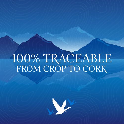 Grey Goose Grey Goose Vodka 1L