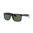 Ray-Ban 0RB4165 JUSTIN