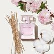 Narciso Rodriguez Narciso Radiante 50ml