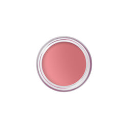 Bobbi Brown Pot Rouge Velvet Matte 1 Tea Rose