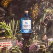 Drumshanbo Gunpowder Irish Gin 70cl