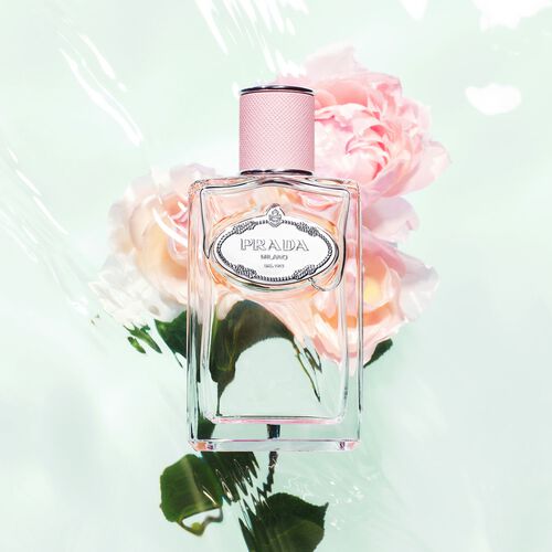Prada Infusion de Rose Eau de Parfum 100ml