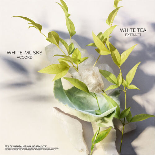 Bvlgari Eau Parfumée Thé Blanc Eau de Toilette 75ml