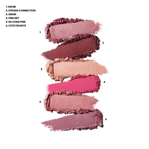 MAC Connect In Colour Eye Shadow Palette Rose Lens