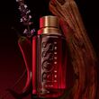 Boss The Scent Elixir Parfum Intense for Him 50ml