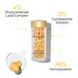 Elizabeth Arden Advanced Light Ceramide Capsules Strengthening & Refining Serum 60-piece