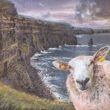 Kelly Hood The Cliff Of Moher Mounted Print 
