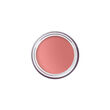Bobbi Brown Pot Rouge Velvet Matte 22 Muted Peach