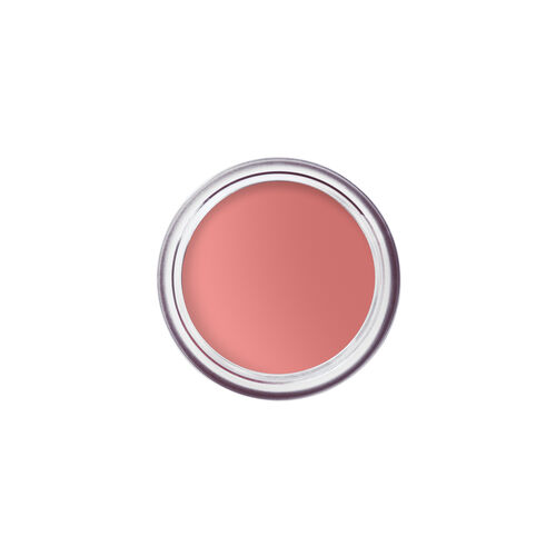 Bobbi Brown Pot Rouge Velvet Matte 22 Muted Peach