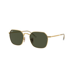 Ray-Ban 0RB3694 JIM