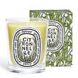 Diptyque Classic Candle Citronelle 190g