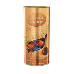 Lindt Assorted Praline Tube  400g