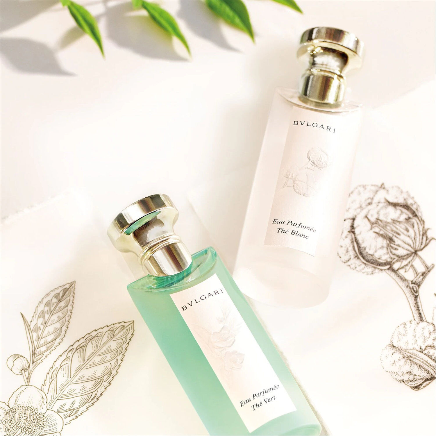 Eau Parfumée Thé Blanc Eau de Toilette 75ml | Airport Duty Free