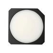 Blackberry & Bay Solid Scent Refill 2.5g