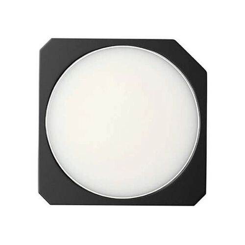 Blackberry & Bay Solid Scent Refill 2.5g