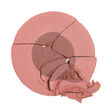 Charlotte Tilbury Cheek to Chic Sex On Fire