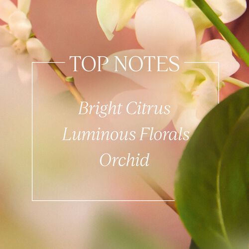 L'Occitane en Provence Neroli and Orchidee Eau de Toilette 75ml