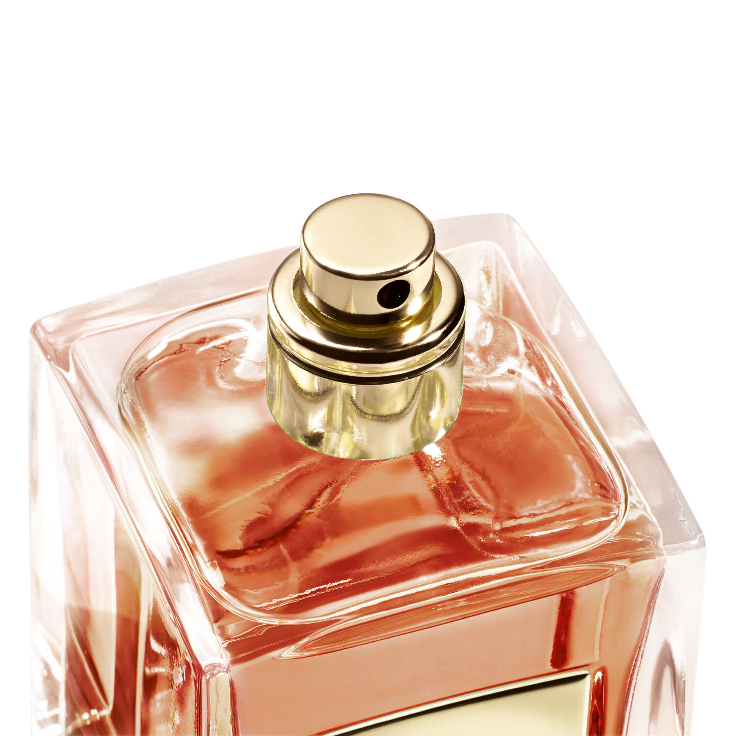 Santal Dan Sha Eau de Toilette 100ml | Airport Duty Free Shopping