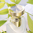 Bvlgari Eau Parfumée Thé Blanc Eau de Toilette 75ml