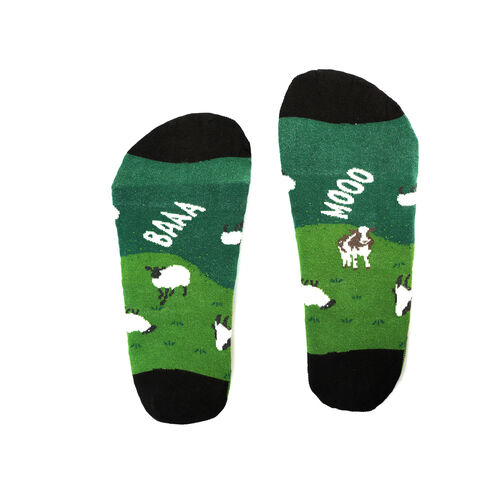 Irish Socksciety The Irish Landscape EU 36-40
