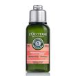 L'Occitane en Provence Aromachology Repair Shampoo 75ml