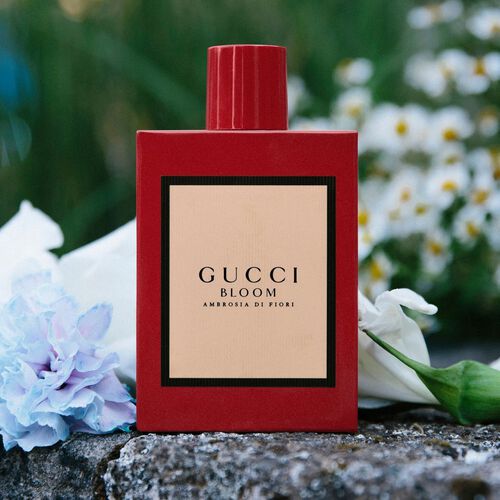 Gucci Bloom Ambrosia di Fiori Eau de Parfum For Her 50ml