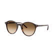 Ray-Ban 0RB2230