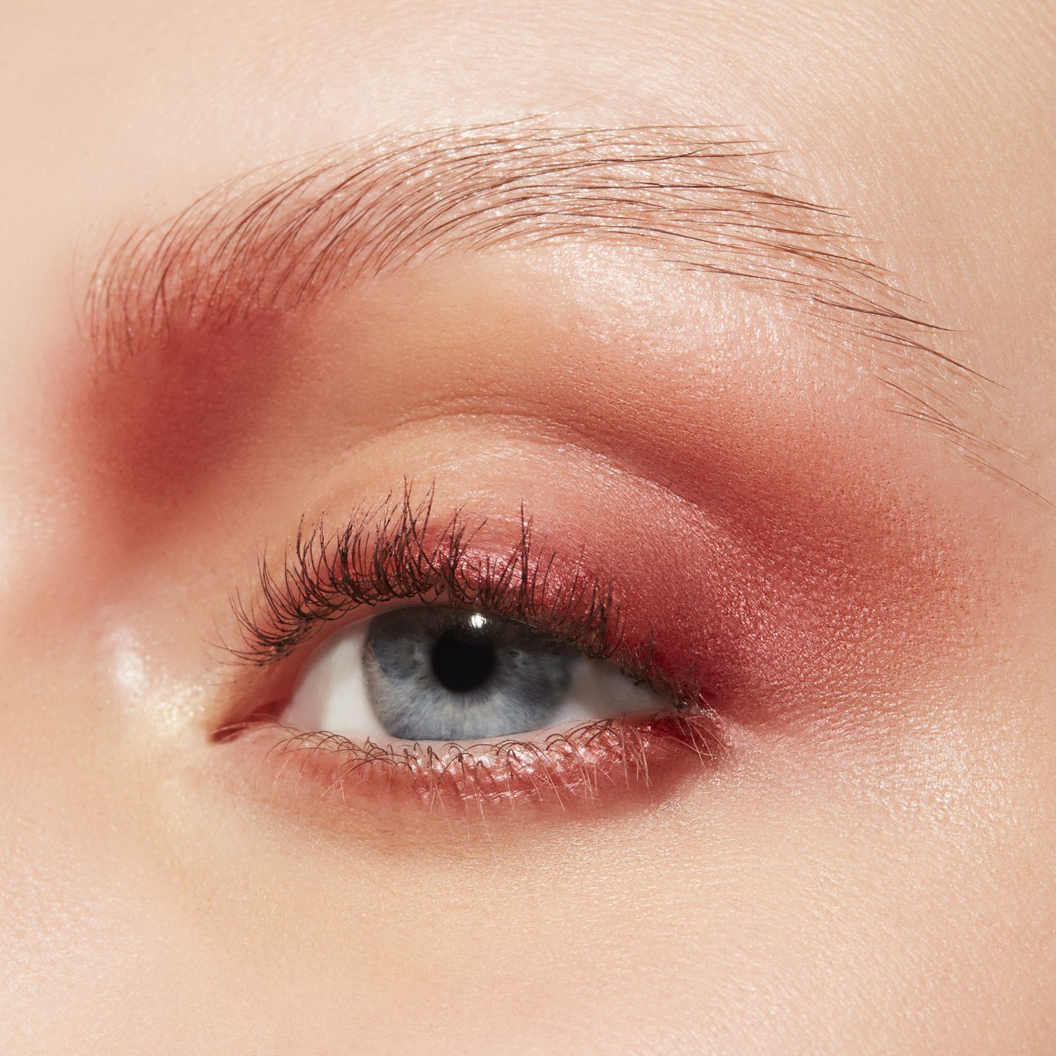 Connect In Colour Eye Shadow Palette 12 Shades Future Flame