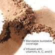 Elizabeth Arden Pure Finish Mineral Powder Foundation SPF20 Shade 4