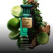 Tom Ford Azure Lime Eau de Parfum 50ml