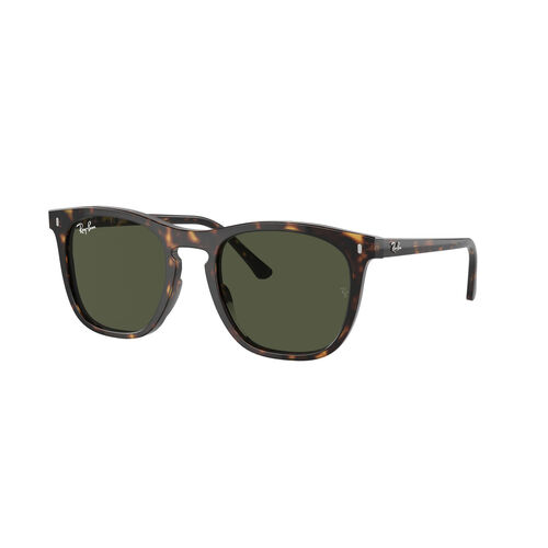 Ray-Ban 0RB2210
