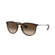 Ray-Ban 0RB4171 ERIKA